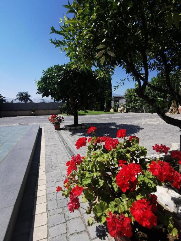 Villa Atrium Pompei Exterior foto
