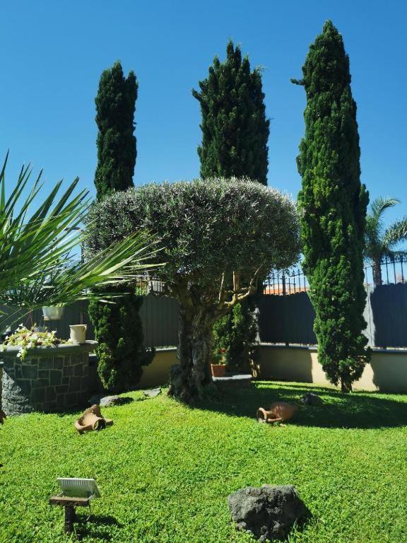 Villa Atrium Pompei Exterior foto