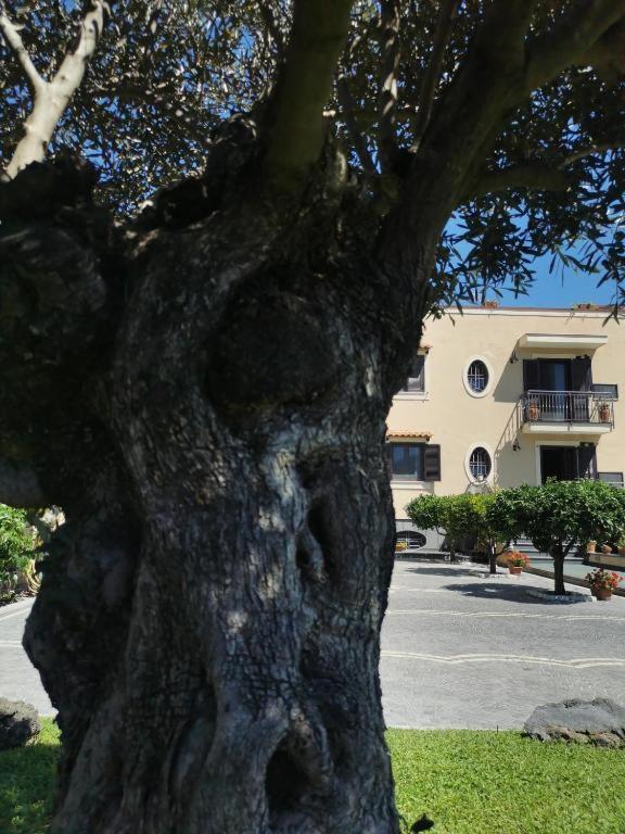 Villa Atrium Pompei Exterior foto